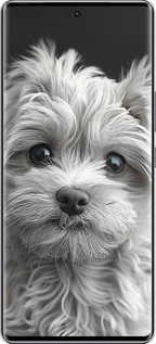 Силиконовый чехол Мальтипу на чорном фоне для Infinix Zero 40 5G - 6156u-3822 изображение 