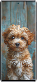 Силиконовый чехол Щенок мальтипу для Infinix Zero 40 5G - 6157u-3822 изображение 