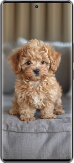 Силиконовый чехол Mini-maltipoo для Infinix Zero 40 5G - 6158u-3822 изображение 