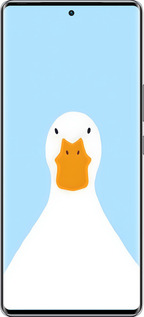 Силиконовый чехол Гусь для Infinix Zero 40 5G - 6350u-3822 изображение 