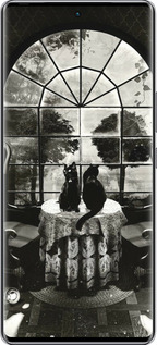 Силиконовый чехол Череп и коты для Infinix Zero 40 5G - 6432u-3822 изображение 