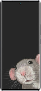 Силиконовый чехол The Peeking Rat для Infinix Zero 40 5G - 6442u-3822 изображение 