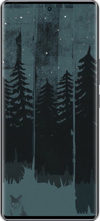 Силиконовый чехол Лиса и ночной лес для Infinix Zero 40 5G - 6481u-3822 изображение 