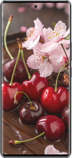 Силиконовый чехол Вишня в шоколаде для Infinix Zero 40 5G - 6698u-3822 изображение 