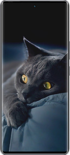 Силиконовый чехол Дымчатый кот для Infinix Zero 40 5G - 825u-3822 изображение 