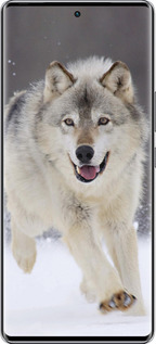 Силиконовый чехол Бегущий волк для Infinix Zero 40 5G - 826u-3822 изображение 