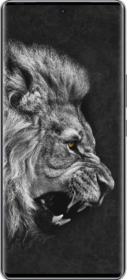 Силиконовый чехол Лев для Infinix Zero 40 5G - 1080u-3822 изображение 