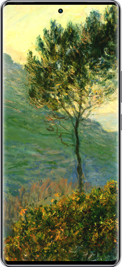 Силиконовый чехол Клод Моне для Infinix Zero 40 5G - 1193u-3822 изображение 