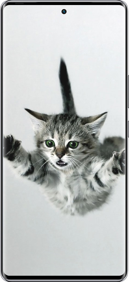 Силиконовый чехол Летящий котёнок для Infinix Zero 40 5G - 2322u-3822 изображение 