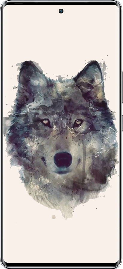 Силиконовый чехол Волк-арт для Infinix Zero 40 5G - 4163u-3822 изображение 