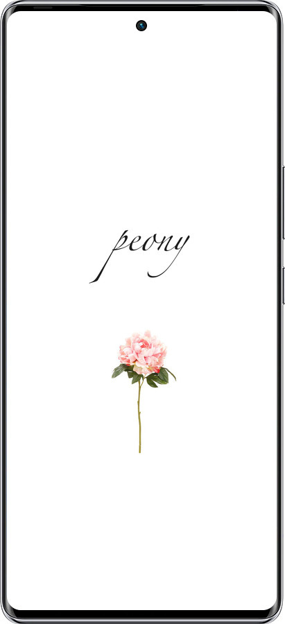 Силиконовый чехол Пион для Infinix Zero 40 5G - 4366u-3822 изображение 