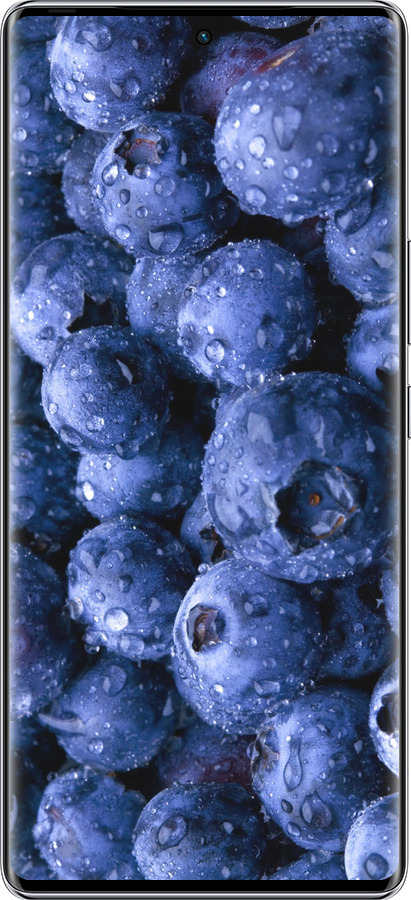 Силиконовый чехол Голубика для Infinix Zero 40 5G - 4459u-3822 изображение 