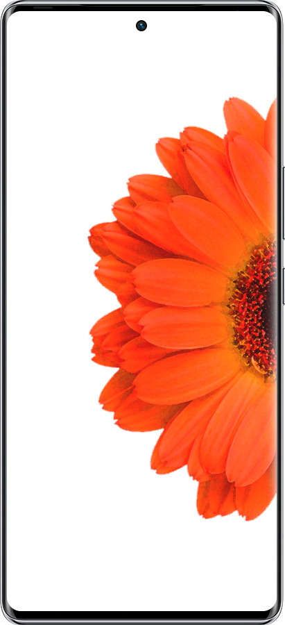 Силиконовый чехол Гербера 1 для Infinix Zero 40 5G - 4534u-3822 изображение 