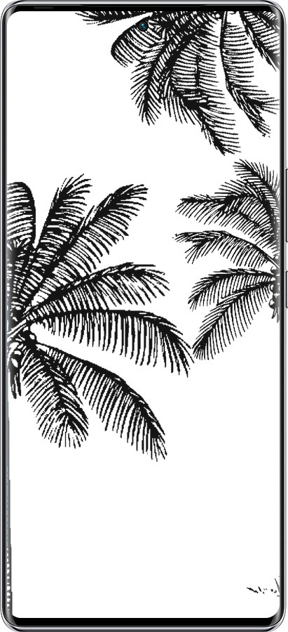 Силиконовый чехол Пальмы1 для Infinix Zero 40 5G - 4634u-3822 изображение 