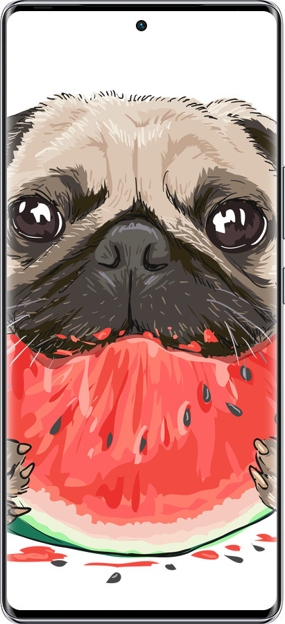 Силиконовый чехол Мопс и арбуз для Infinix Zero 40 5G - 4665u-3822 изображение 