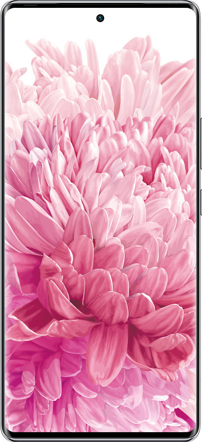 Силиконовый чехол Хризантема для Infinix Zero 40 5G - 4666u-3822 изображение 