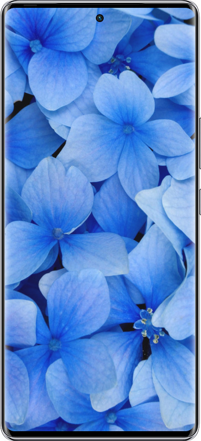 Силиконовый чехол Синие цветы для Infinix Zero 40 5G - 526u-3822 изображение 