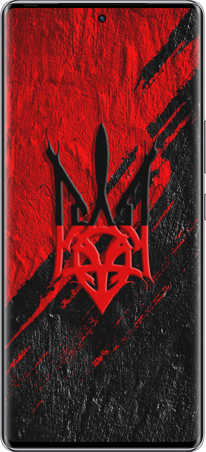 Силиконовый чехол Герб v4 для Infinix Zero 40 5G - 5293u-3822 изображение 