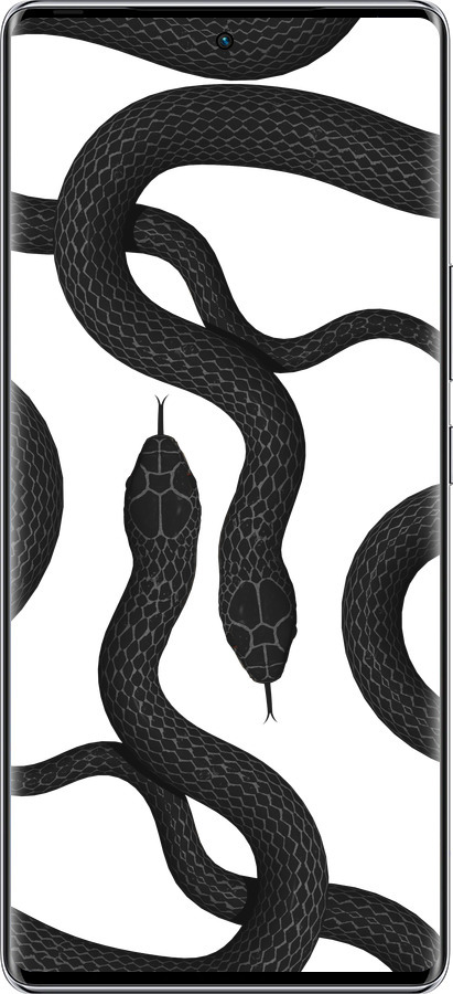 Силиконовый чехол Змеи для Infinix Zero 40 5G - 5473u-3822 изображение 