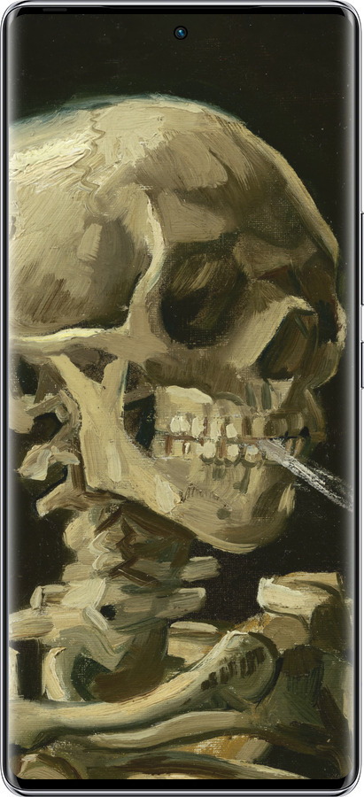 Силіконовий чехол Вінсент Ван Гог. Череп для Infinix Zero 40 5G - 5544u-3822 изображение 