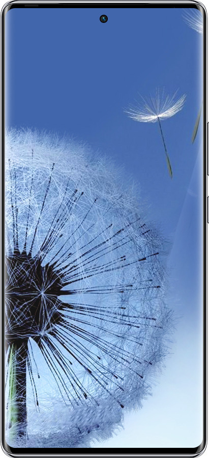 Силиконовый чехол Одуванчик для Infinix Zero 40 5G - 6005u-3822 изображение 