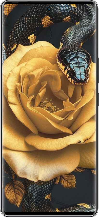 Силиконовый чехол Black snake and golden rose для Infinix Zero 40 5G - 6068u-3822 изображение 