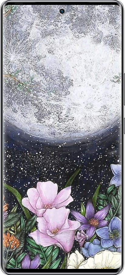 Силиконовый чехол Полночь в саду для Infinix Zero 40 5G - 6259u-3822 изображение 