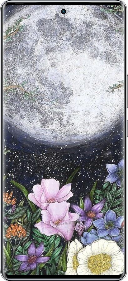 Силиконовый чехол Полночь в саду II для Infinix Zero 40 5G - 6424u-3822 изображение 
