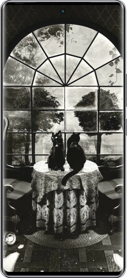 Силиконовый чехол Череп и коты для Infinix Zero 40 5G - 6432u-3822 изображение 