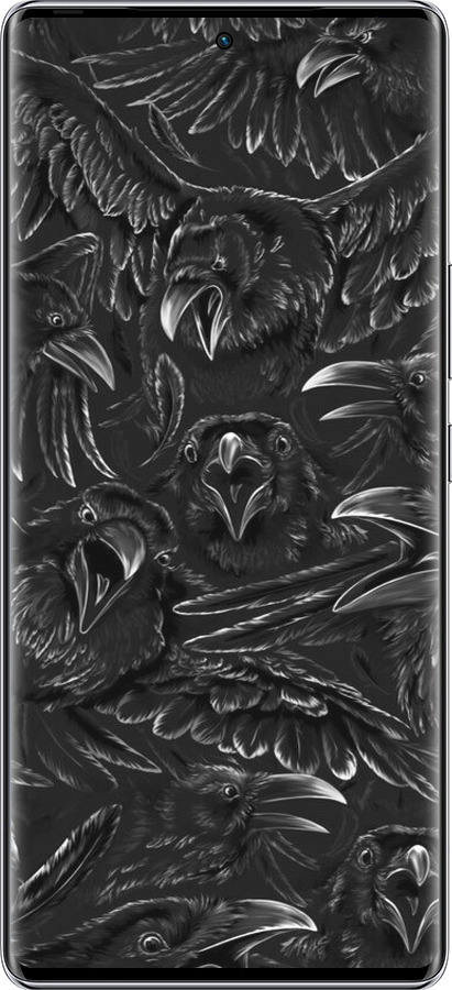 Силиконовый чехол Воронья ярость для Infinix Zero 40 5G - 6474u-3822 изображение 