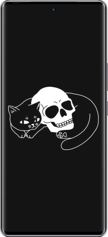 Силиконовый чехол С изображением кота и черепа для Infinix Zero 40 5G - 6491u-3822 изображение 