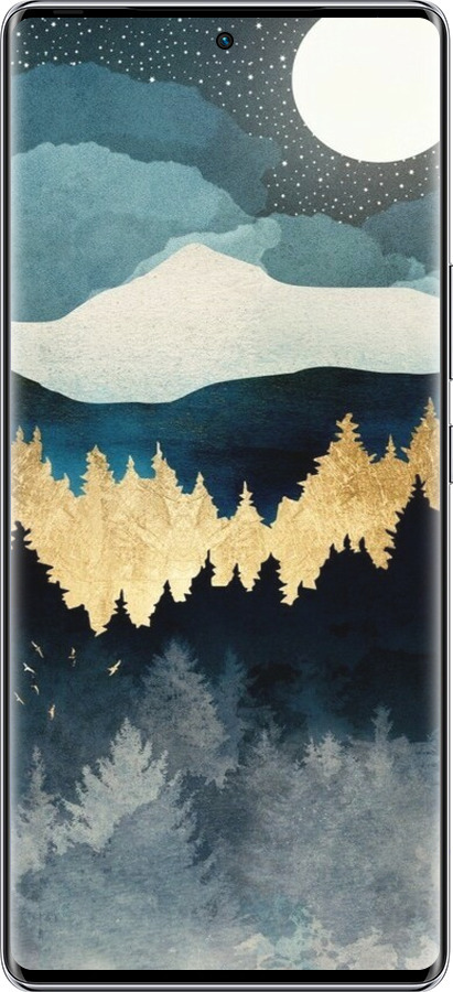 Силиконовый чехол Ночной пейзаж с лесом и горами для Infinix Zero 40 5G - 6493u-3822 изображение 