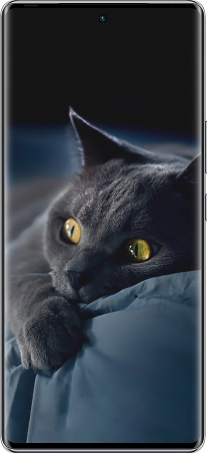 Силиконовый чехол Дымчатый кот для Infinix Zero 40 5G - 825u-3822 изображение 