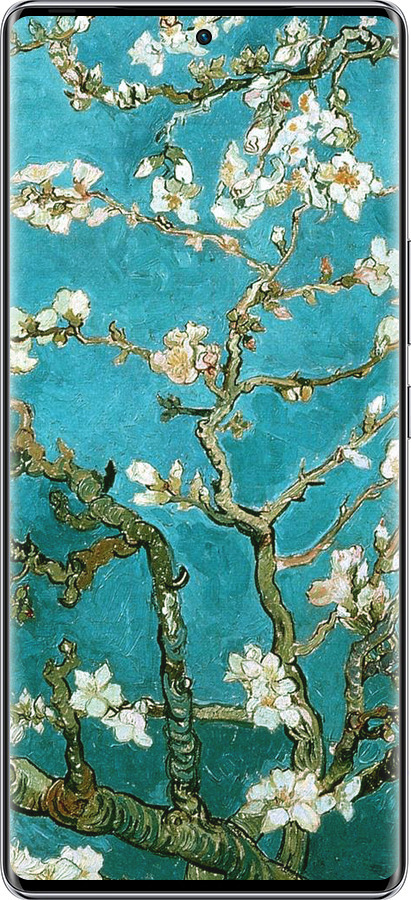 Силиконовый чехол Винсент Ван Гог. Сакура для Infinix Zero 40 5G - 841u-3822 изображение 