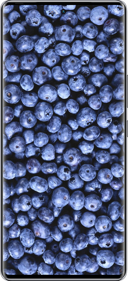 Силиконовый чехол Черника для Infinix Zero 40 5G - 851u-3822 изображение 