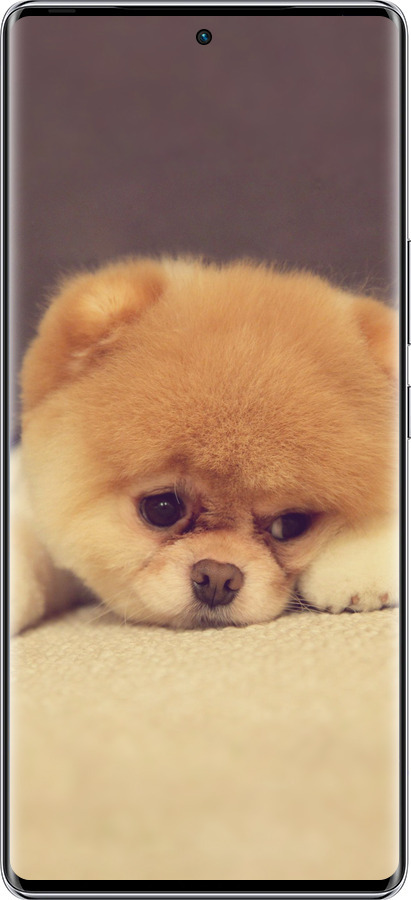 Силіконовий чехол Boo 2 для Infinix Zero 40 5G - 890u-3822 изображение 