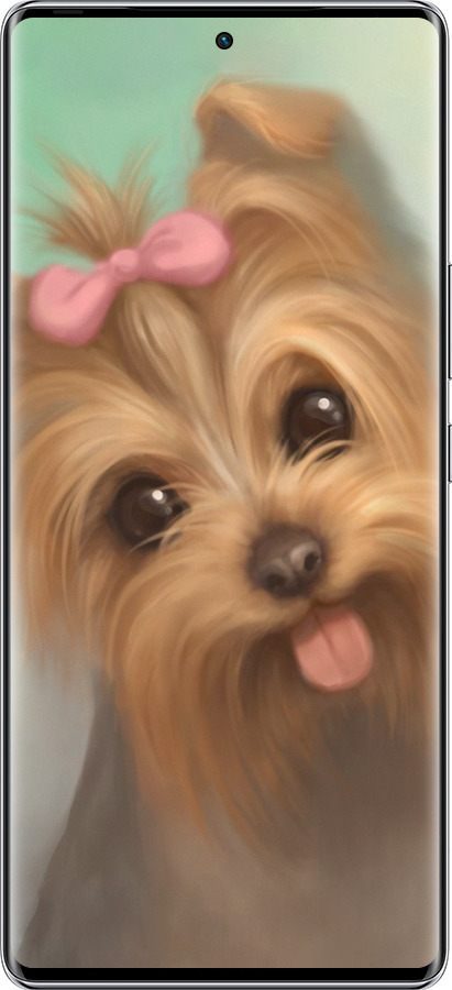 Силиконовый чехол Нарисованный йоркширский терьер для Infinix Zero 40 5G - 928u-3822 изображение 