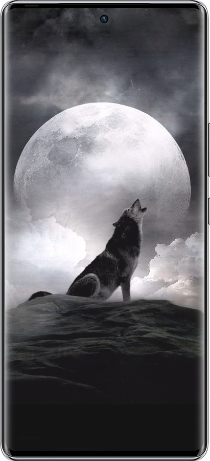 Силиконовый чехол Воющий волк для Infinix Zero 40 5G - 934u-3822 изображение 