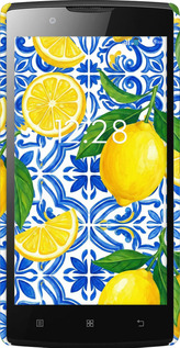 3D пластиковый глянцевый чехол Grocery Girl Italian Summer для Lenovo A2010 - 6766c-216 изображение 