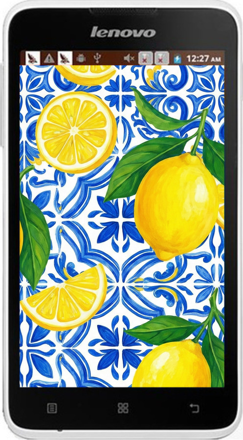 Силиконовый чехол Grocery Girl Italian Summer для Lenovo A529 - 6766u-200 изображение 