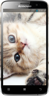 3D пластиковый глянцевый чехол Котик для Lenovo A850 - 6024c-79 изображение 