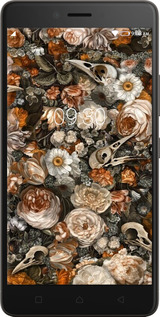 2D пластиковый чехол В стиле барокко-мрачный для Lenovo K6 Note - 6404t-453 изображение 
