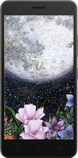 2D пластиковый чехол Полночь в саду для Lenovo K6 - 6259t-452 изображение 