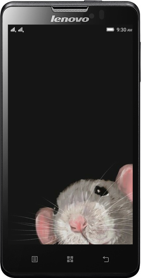 Силиконовый чехол The Peeking Rat для Lenovo P780 - 6442u-305 изображение 