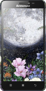 3D пластиковый матовый чехол Полночь в саду II для Lenovo S850 - 6424m-78 изображение 