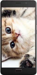 Силіконовий чехол Котик для Lenovo Vibe P2 - 6024u-792 изображение 