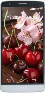 Силиконовый чехол Вишня в шоколаде для LG G3s D724 - 6698u-93 изображение 