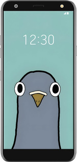 Силіконовий чехол Голубь для LG K40 - 6388u-1681 изображение 