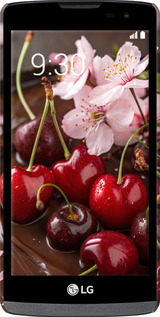 3D пластиковий матовий чехол Вишня у шоколаді для LG Leon H324 - 6698m-403 изображение 