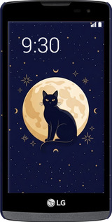 3D пластиковый матовый чехол Cute Cat Celestial/Witchy для LG Leon H324 - 6787m-403 изображение 